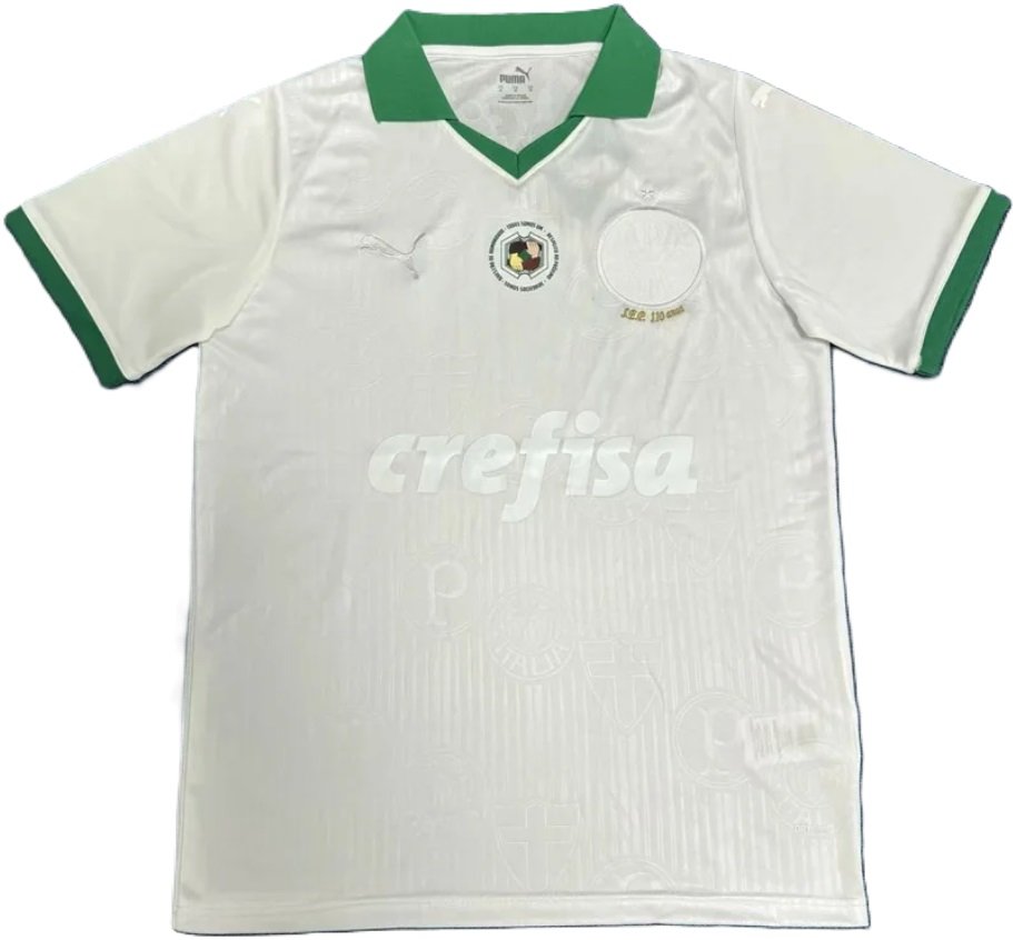 Camisa Palmeiras 2024 Puma oficial Especial 